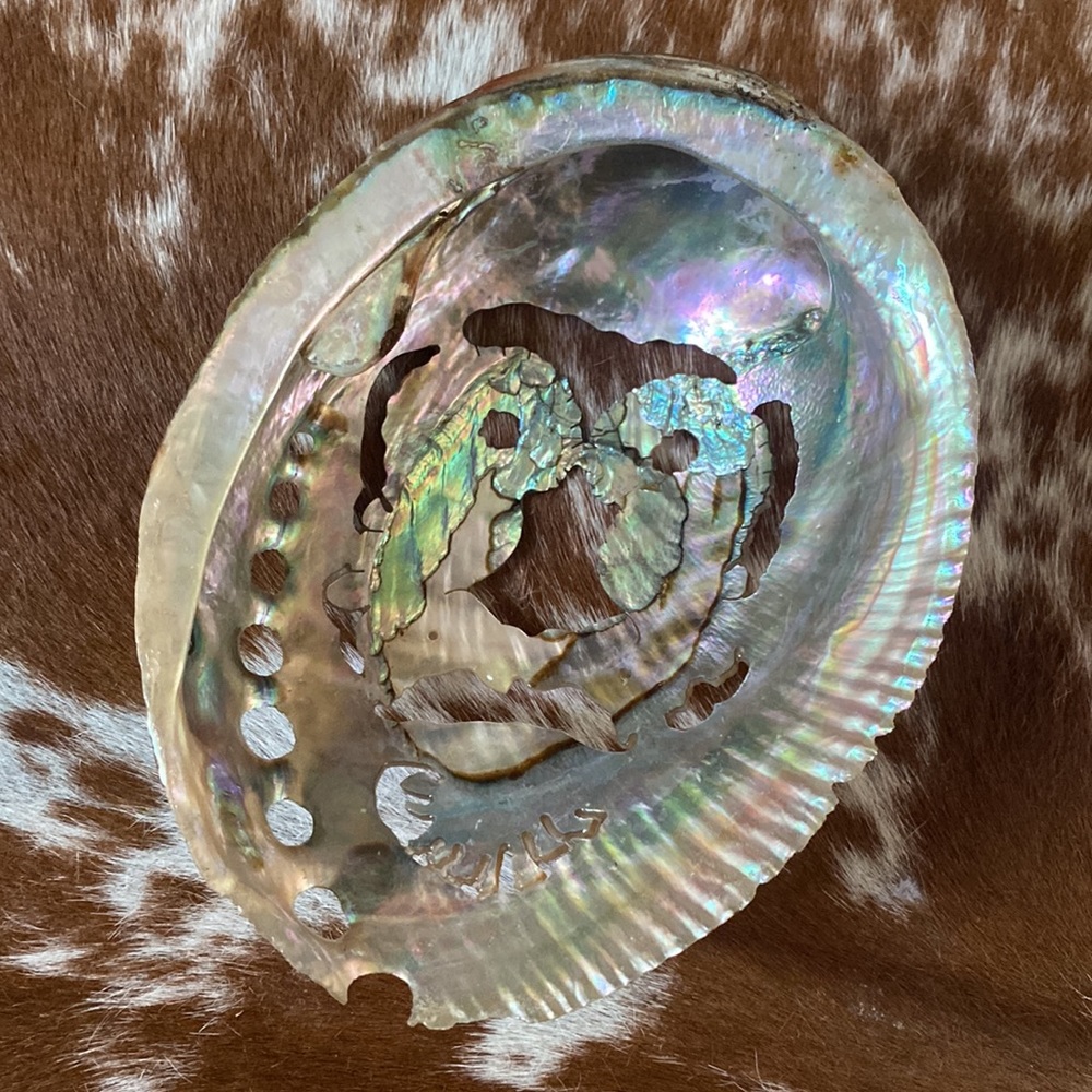 Abalone Shell 🦉❤️🦉